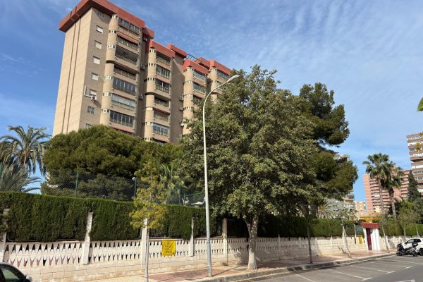 WhatsApp Image 2025-06-04 at 20.29.03 (1)