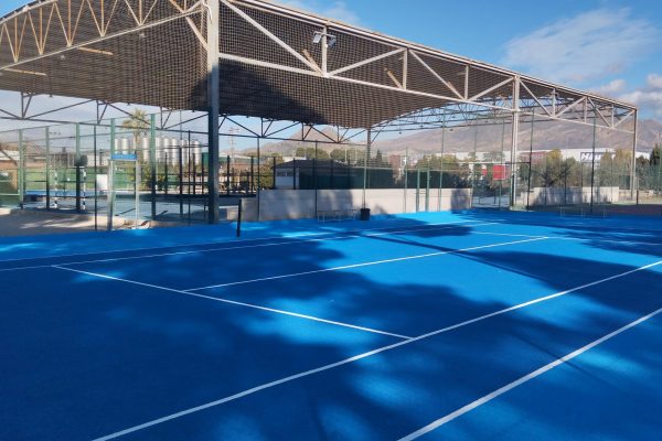 WhatsApp Image 2026-01-19 at 22.20.11